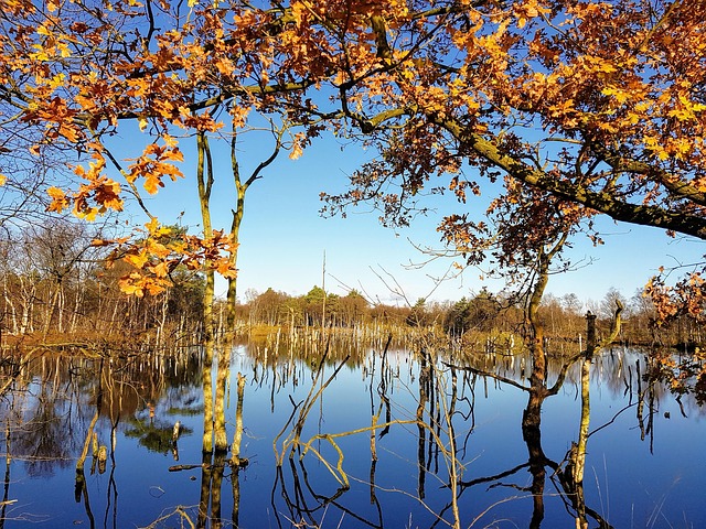 Free Fall Moor photo and picture