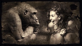 Composing, Monkey, Woman, Laugh