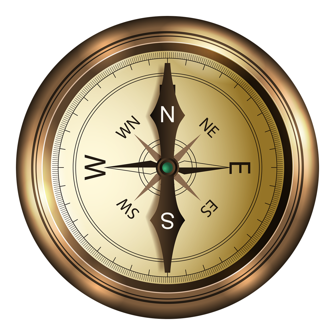 Picture of the kind of compass you use to navigate and which points north.