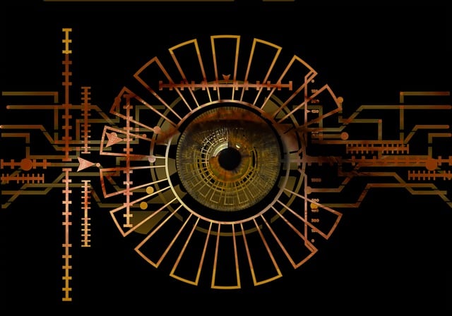 Free eye iris biometrics illustration