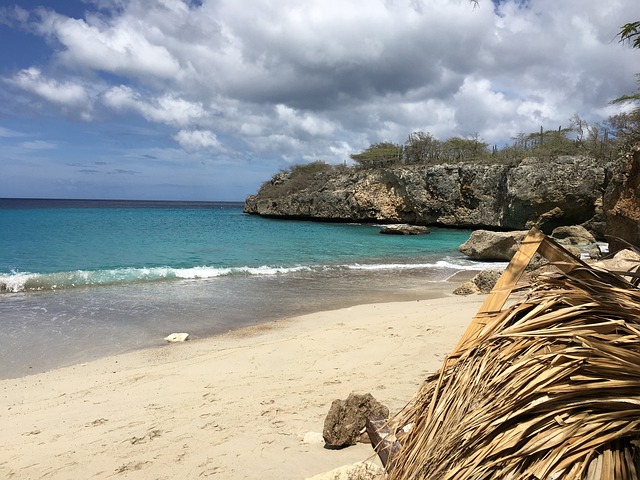 Free Water Beach photo and picture
