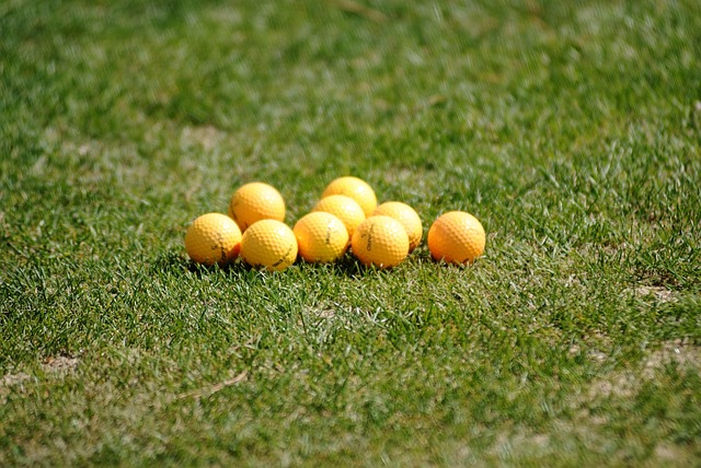 Free Golf Ball Golf Course photo and picture