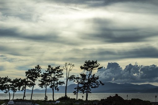 Free Goheung Nature photo and picture