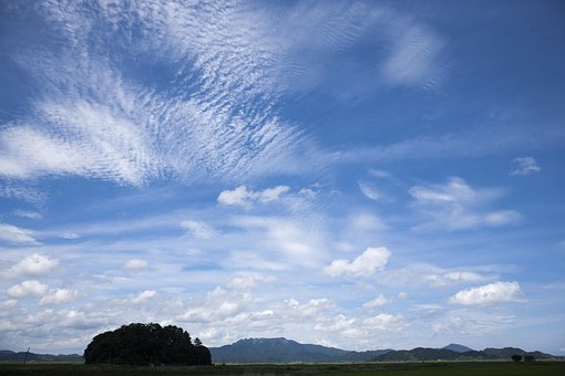 Free Sky Autumn photo and picture