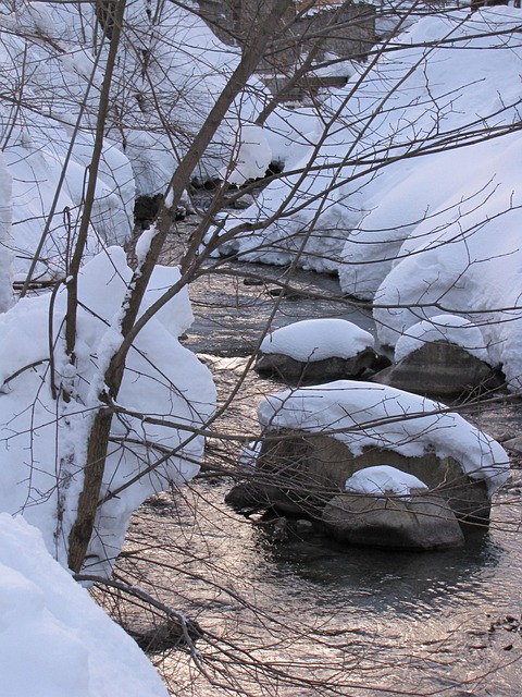 Invierno Nieve - Foto gratis en Pixabay - Pixabay