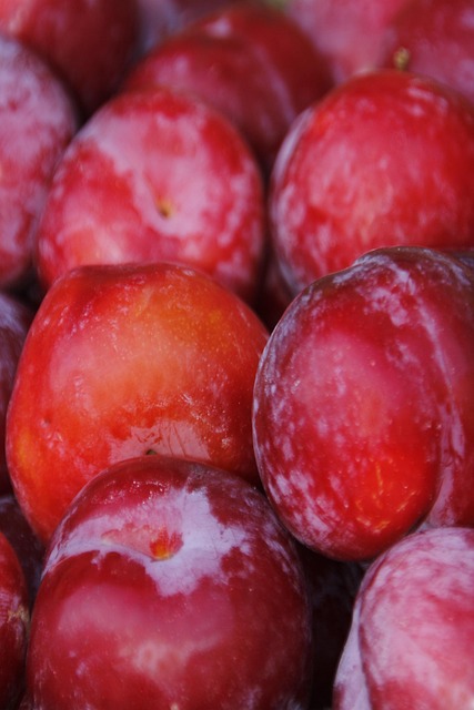 Free Fruit Plums photo and picture