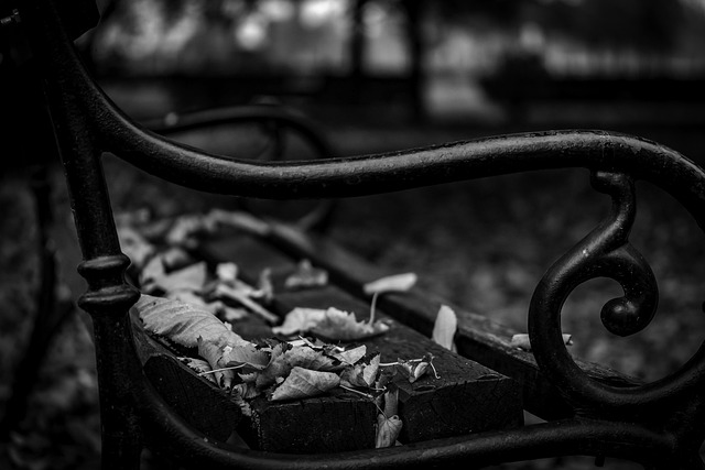 Free Autumn Bench Bench photo and picture