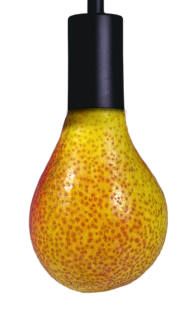 Download free HD stock image of Pear Lamp Holder Free pear lamp holder surreal illustration