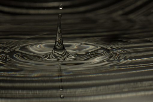 Free Drop Nature photo and picture