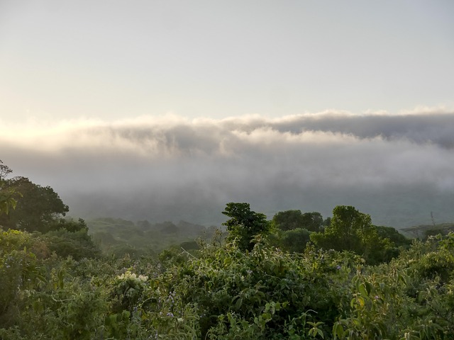 Free Sky Nature photo and picture