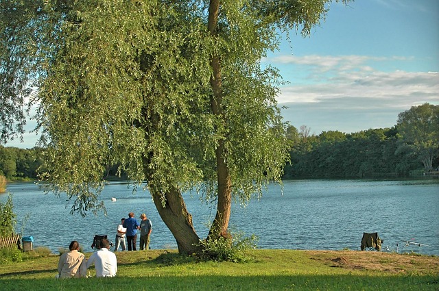 Free Angler'S Pond Leisure Time photo and picture