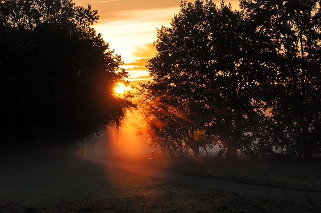 Free Fall Dawn photo and picture