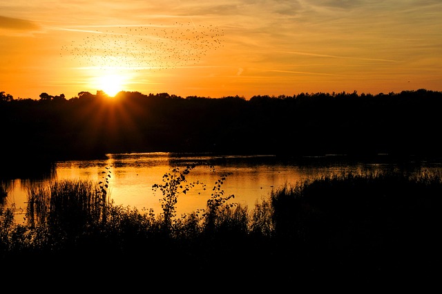 Free Evening Sun Nature photo and picture