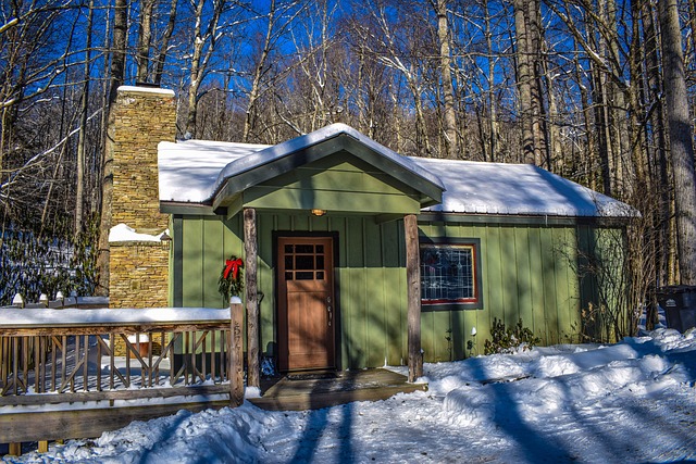 Free House Snow photo and picture