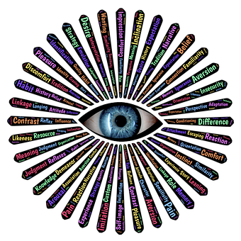 insight-2935112__340.png