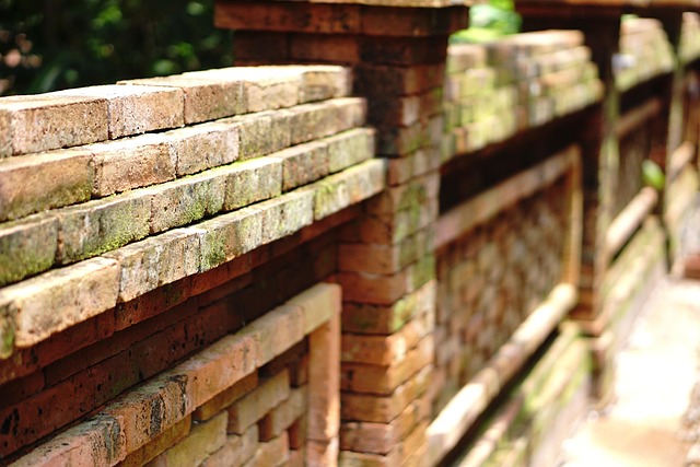 Free Brick Wall photo and picture