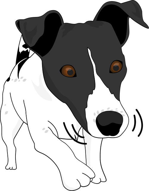 Free dog fun playful illustration