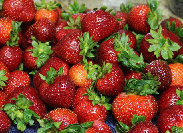 Free Strawberries Fruit photo and picture