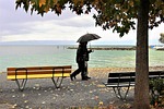 umbrella, rain, autumn
