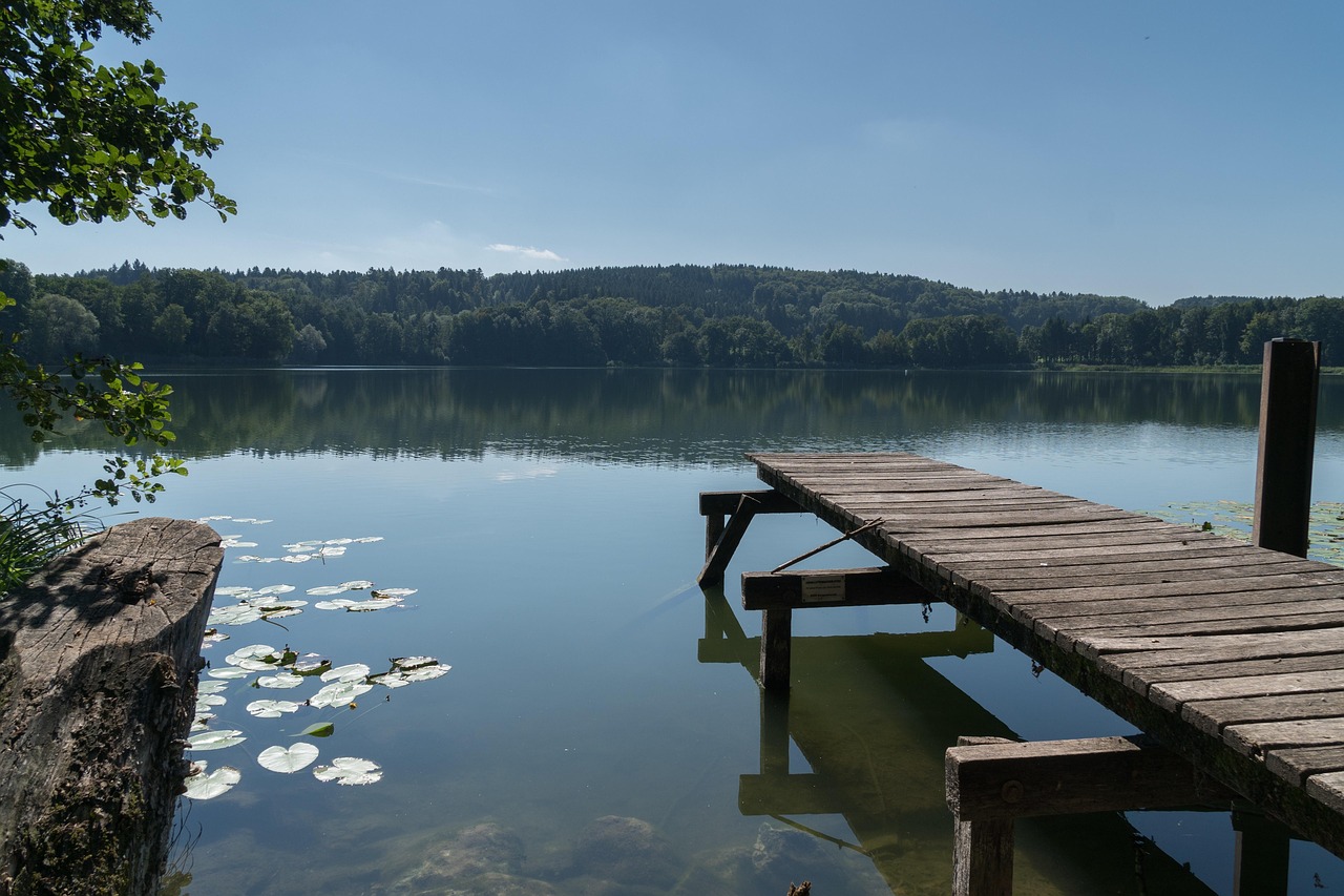 sommeraktion-am-see.jpg