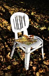 autumn, garden, chair
