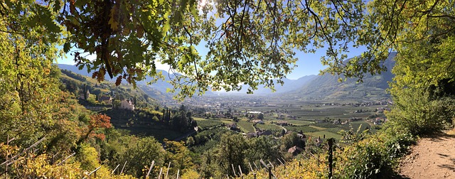 Free Meran South-Tirol photo and picture