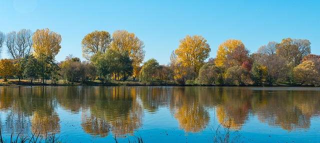 Toamna, Reflecţie, Toamna Aurie, Apă