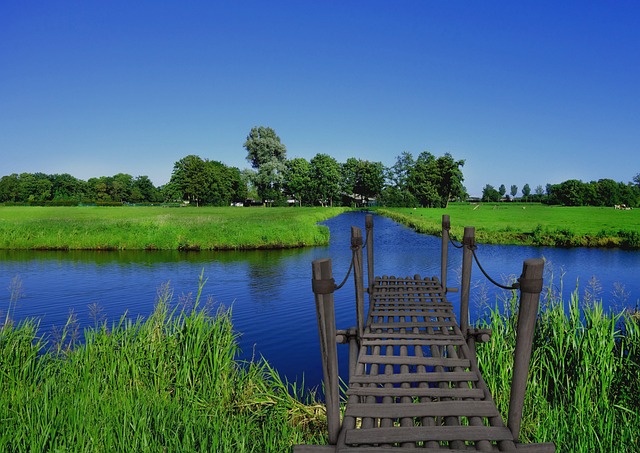 Bridge jigsaw puzzle