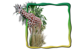 frame, photo frame, giraffe in the frame