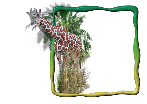Rahmen, Bilderrahmen, Giraffe Im Rahmen