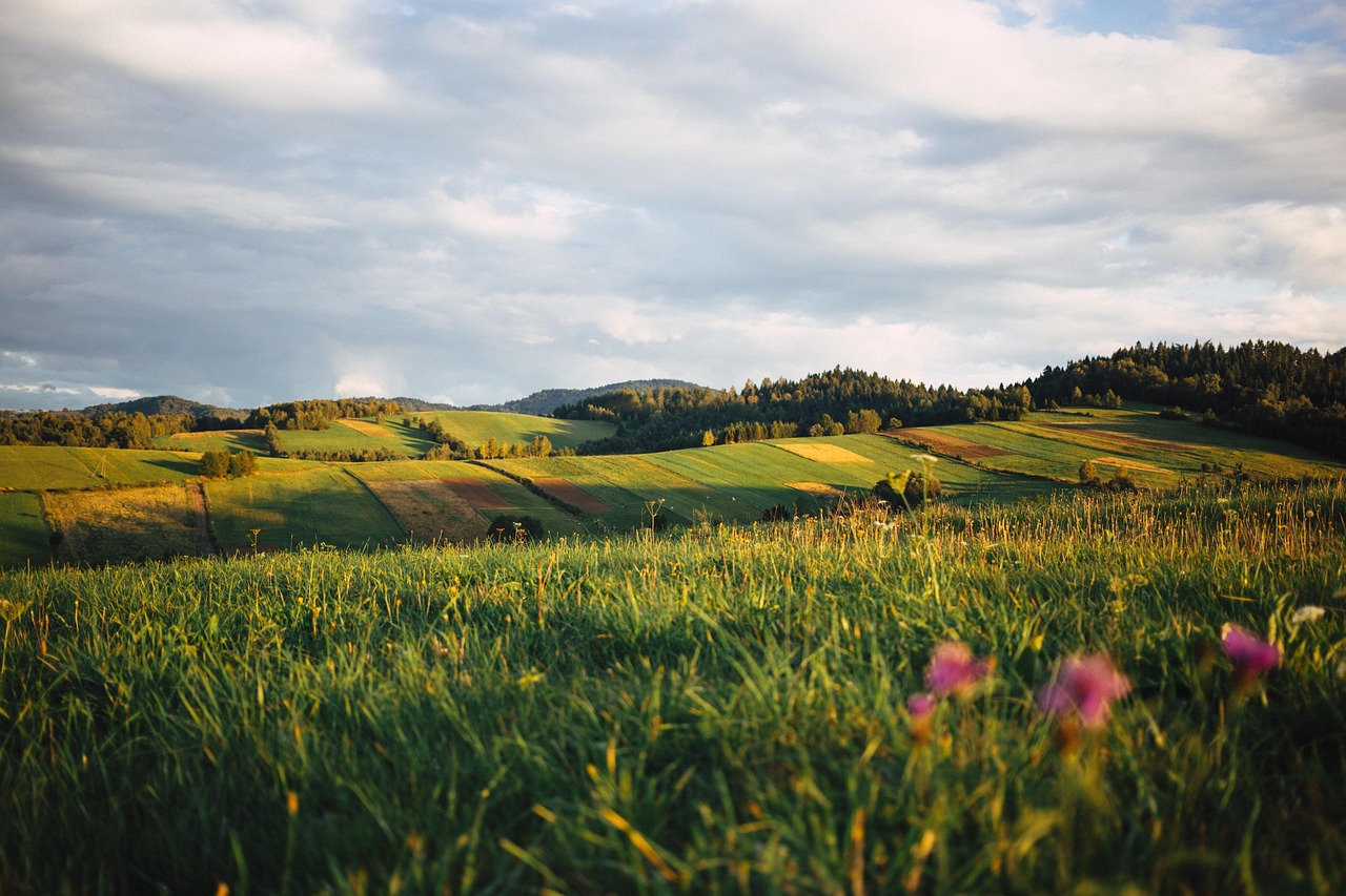 Nature - free online jigsaw puzzle photo