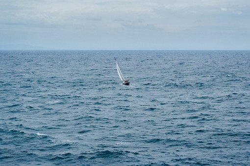 nature-2941066__340.jpg