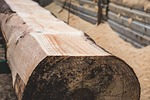 nature, brown, cut