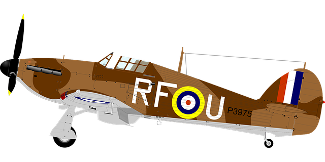 Free vintage war airplane vector
