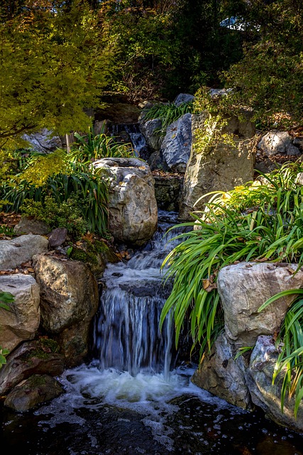 Free Japan Waterfall photo and picture