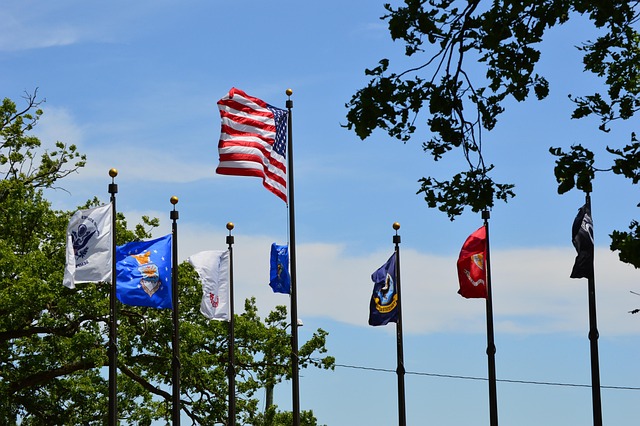 Veteranen-Tag, Amerikanische Flagge