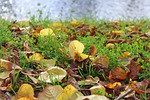 over the water, autumn weather, autumn landscape
