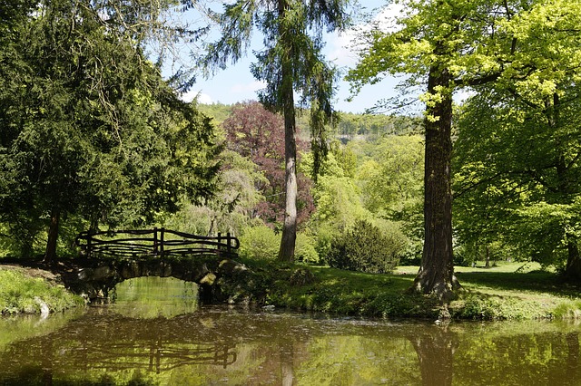 Park, Brücke, Wasser, Grün, Landschaft