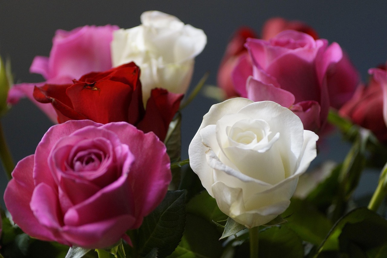 Roses Bunch Of Flowers Pink - Free photo on Pixabay - Pixabay