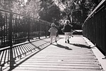 people, autumn, boy