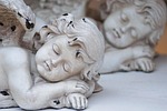 angel, wing, sleep