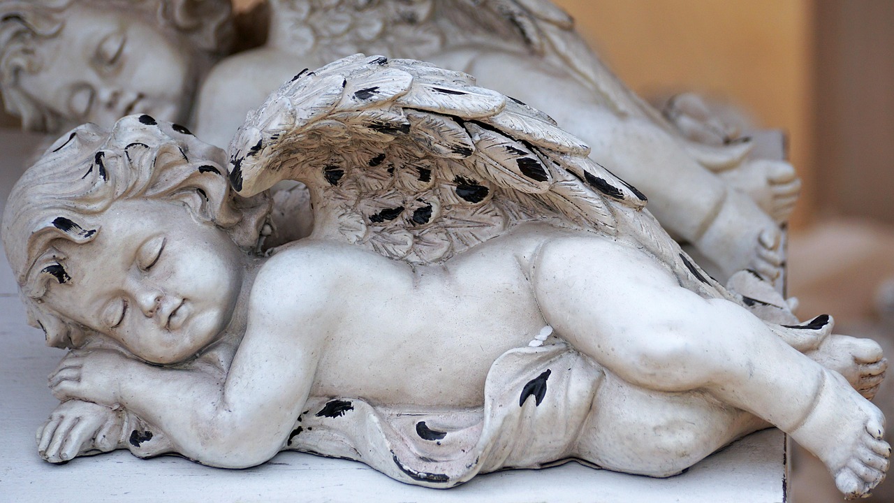 Angel Wing Sleep - Free photo on Pixabay - Pixabay