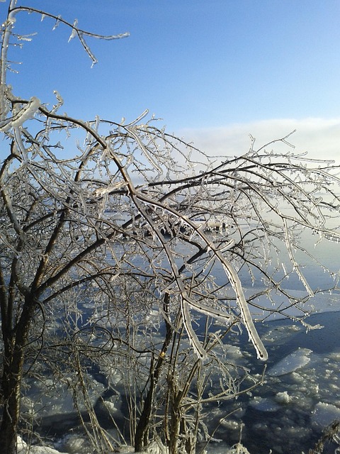 Iarnă, Ice Storm, Rece, Înghețat