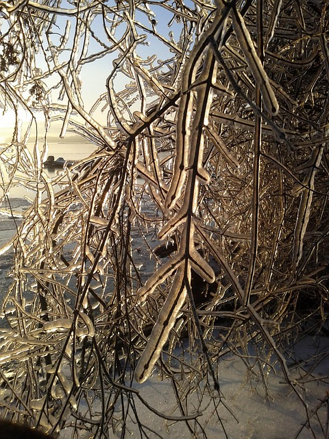 Ice Storm, Iarnă, Furtună, Rece