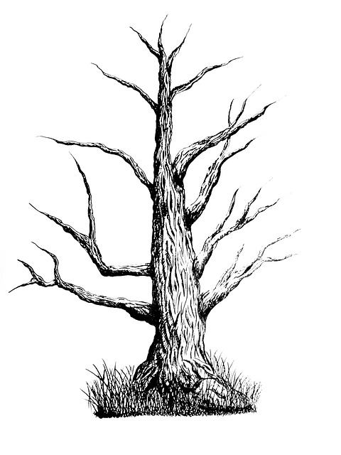 Free illustration black and white ink illustration