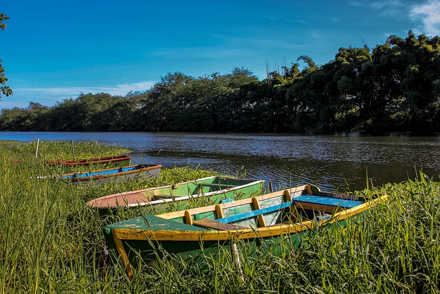 Free Boat Lake photo and picture