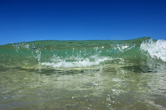Free Sea Ocean photo and picture