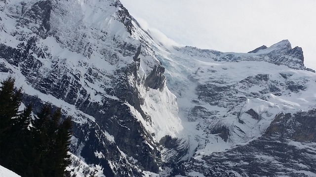 Free Mountain Snow photo and picture