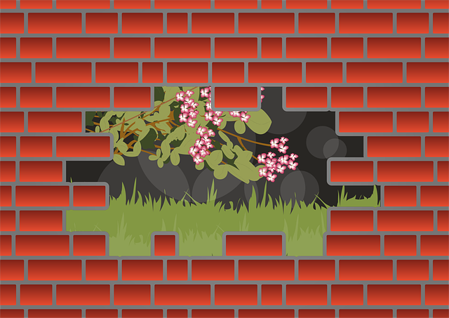Free wall hole nature hole vector