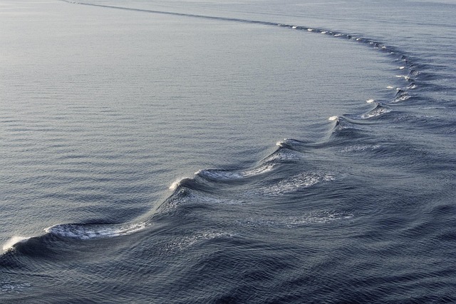 Free Sea Waves photo and picture